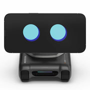 LOOI Robot DeepSeek A Large Model