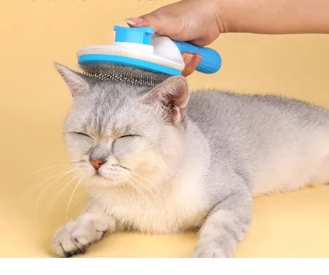 product/2023/11/10/1722795292337770496.jpg